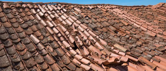 Remplacement tuiles endommagées 42
